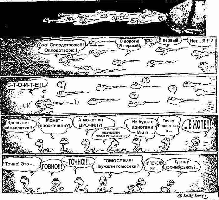 700x638, 79 Kb / сперматозоиды