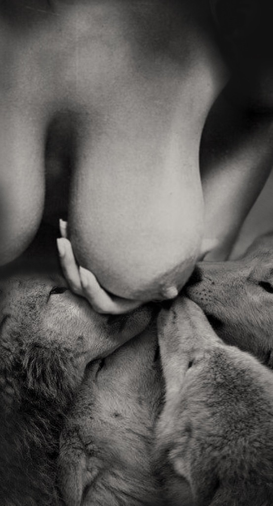 553x1024, 116 Kb / сиська, щенки