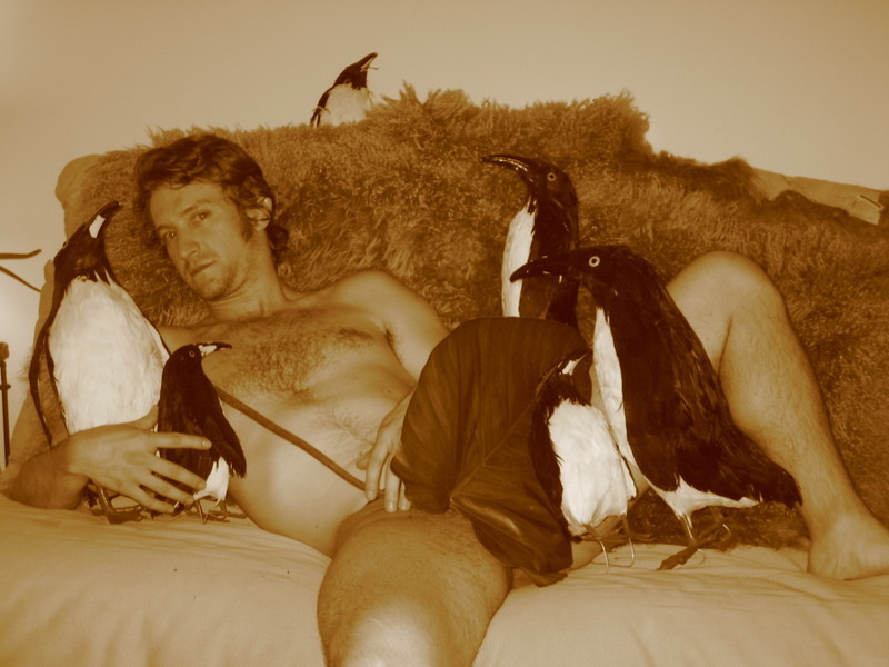 800x600, 94 Kb / мужик, шкура, пингвины, чучело