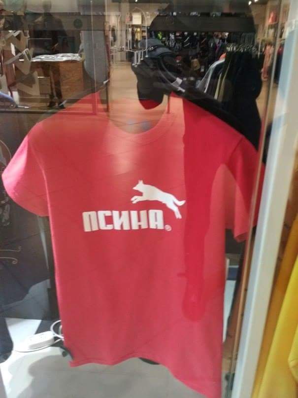 605x807, 36 Kb / Футболка, собака, псина, витрина