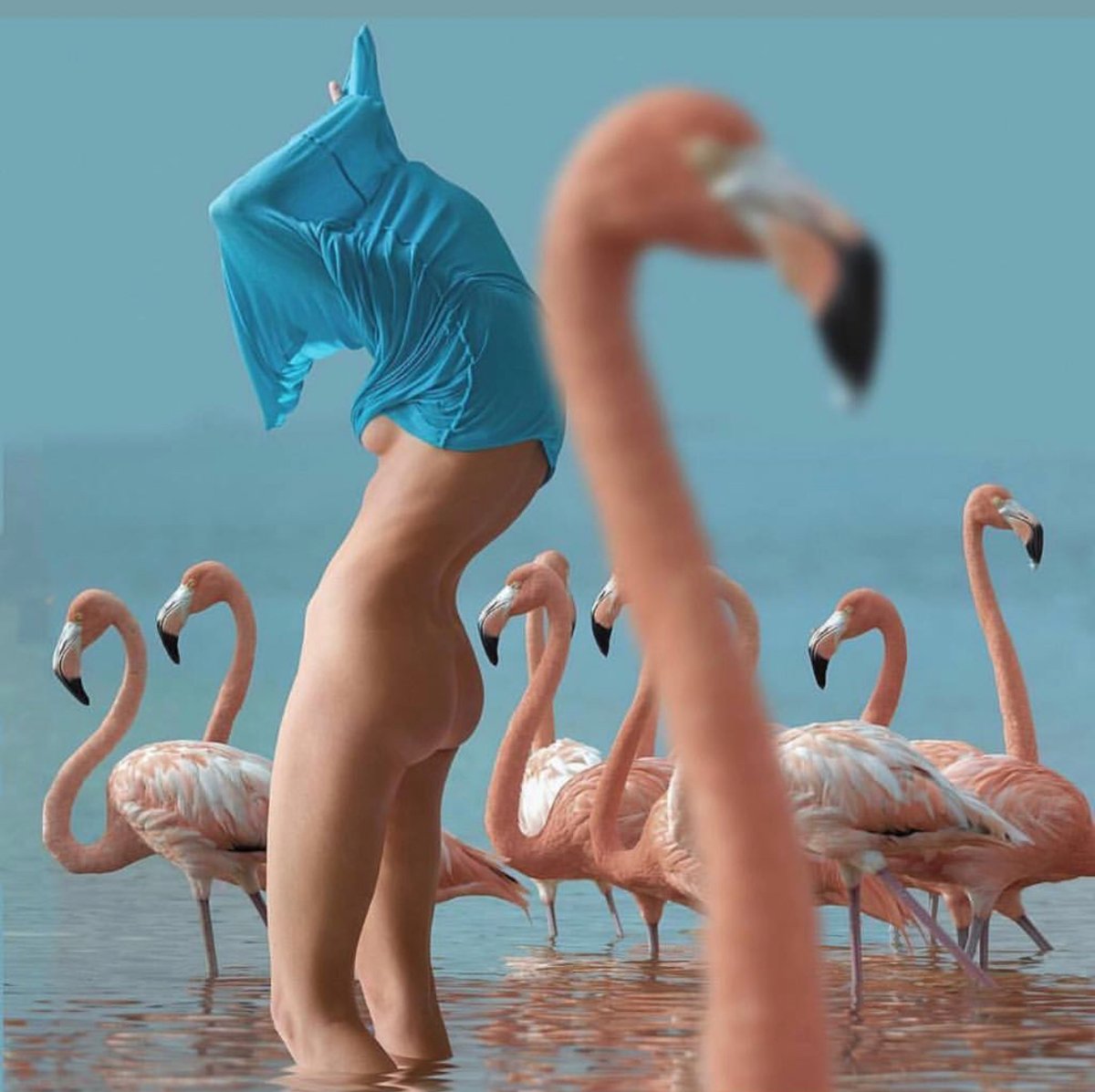 1200x1197, 129 Kb / девка, платье, фламинго