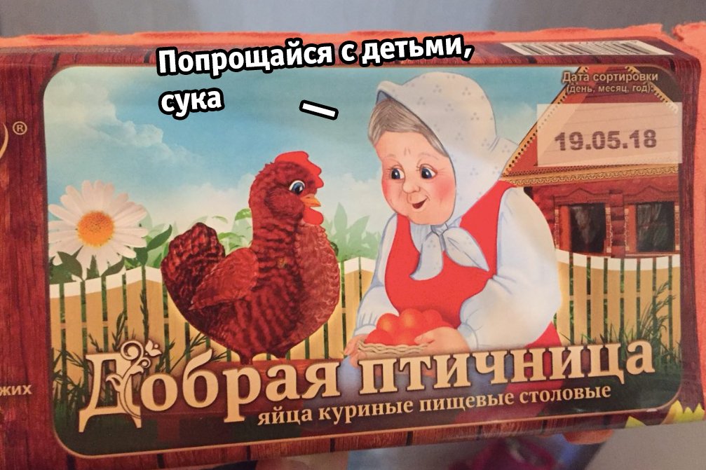 1007x671, 131 Kb / яйца, птичница, добрая, прощание, курица