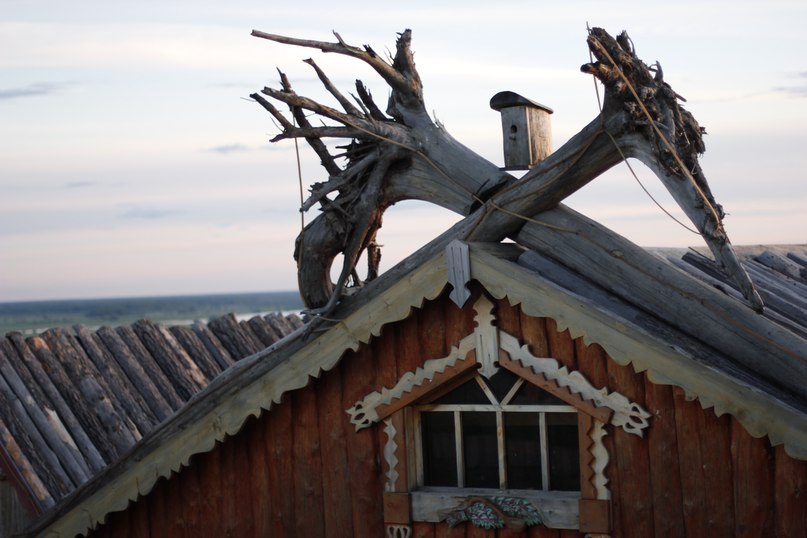 807x538, 74 Kb / конек, скворечник, крыша, корни