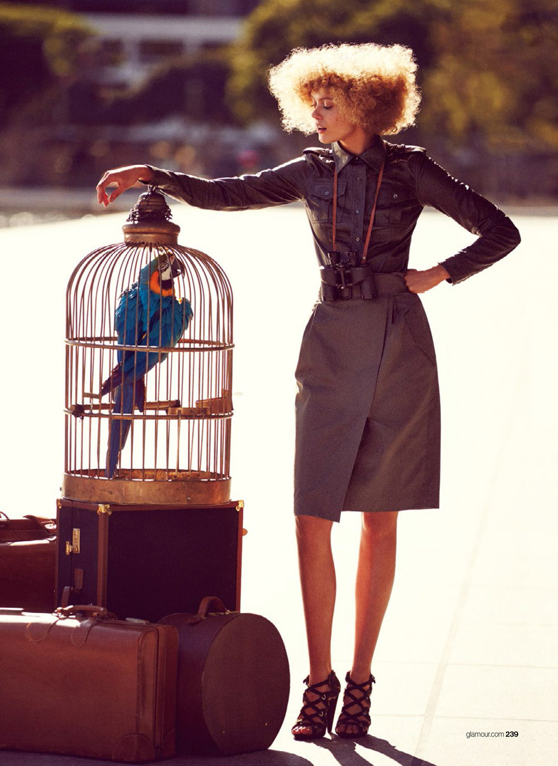 1093x1500, 327 Kb / кучерявая, клетка, попугай, рыжая, Kate Ri, Екатерина Касьянова