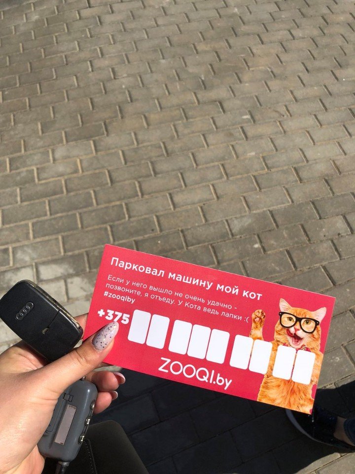 720x960, 132 Kb / кот, парковка, лапки, очки