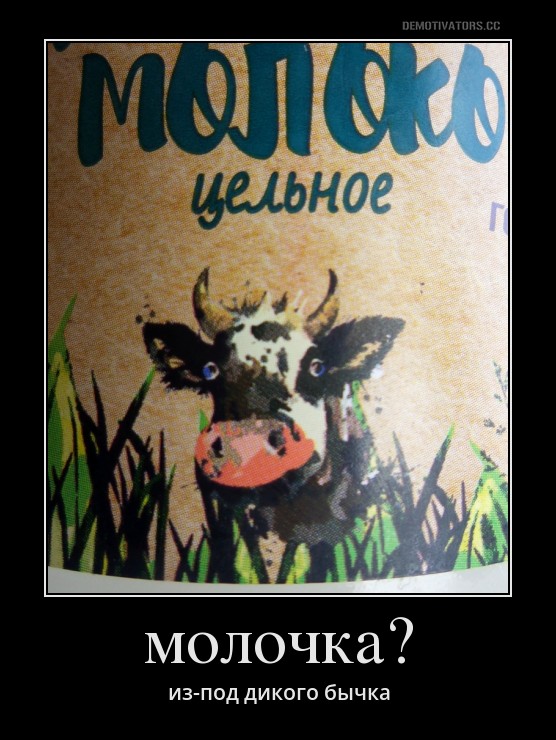 556x740, 103 Kb / корова, бешенство, молоко, демотиватор