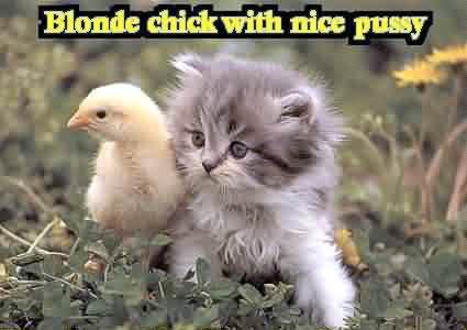 425x300, 18 Kb / chick pussy