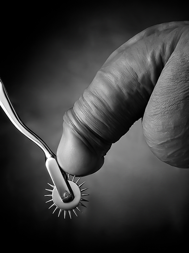 612x817, 547 Kb / хуй, шпора, колючки