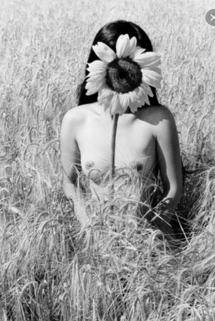 686x1024, 111 Kb / девка, подсолнух, ч/б