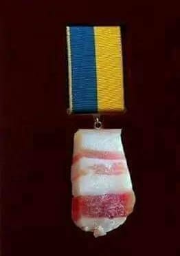 262x372, 8 Kb / медаль, сало, политота