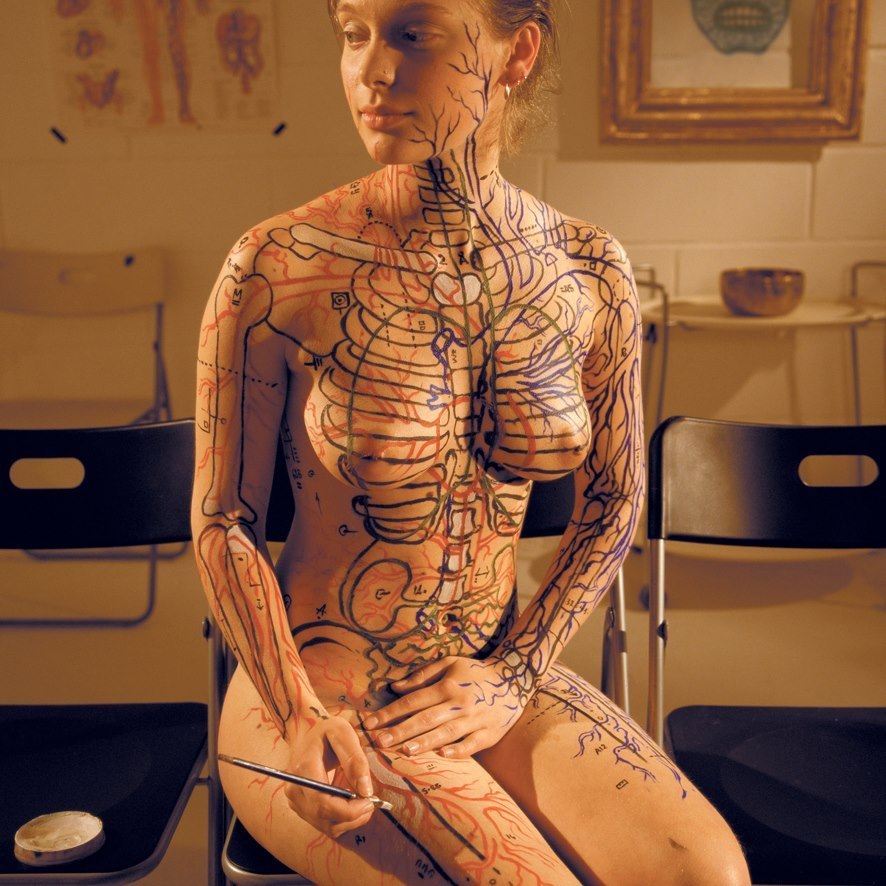 886x886, 144 Kb / девка, кисточка, бодиарт, анатомия