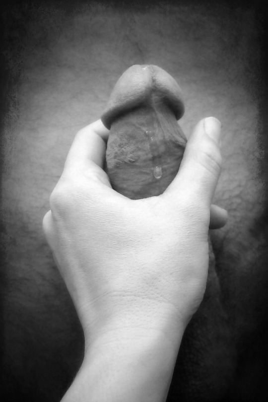 540x810, 60 Kb / рука, член, ч/б