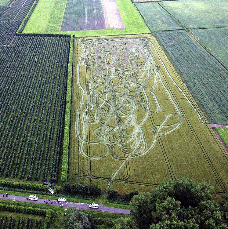 747x750, 185 Kb / полиция, поле, погоня