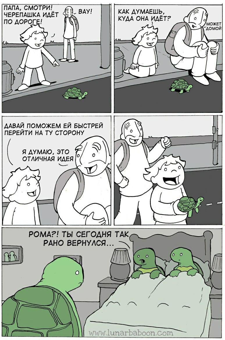 774x1169, 166 Kb / черепаха, измена, рано, рома