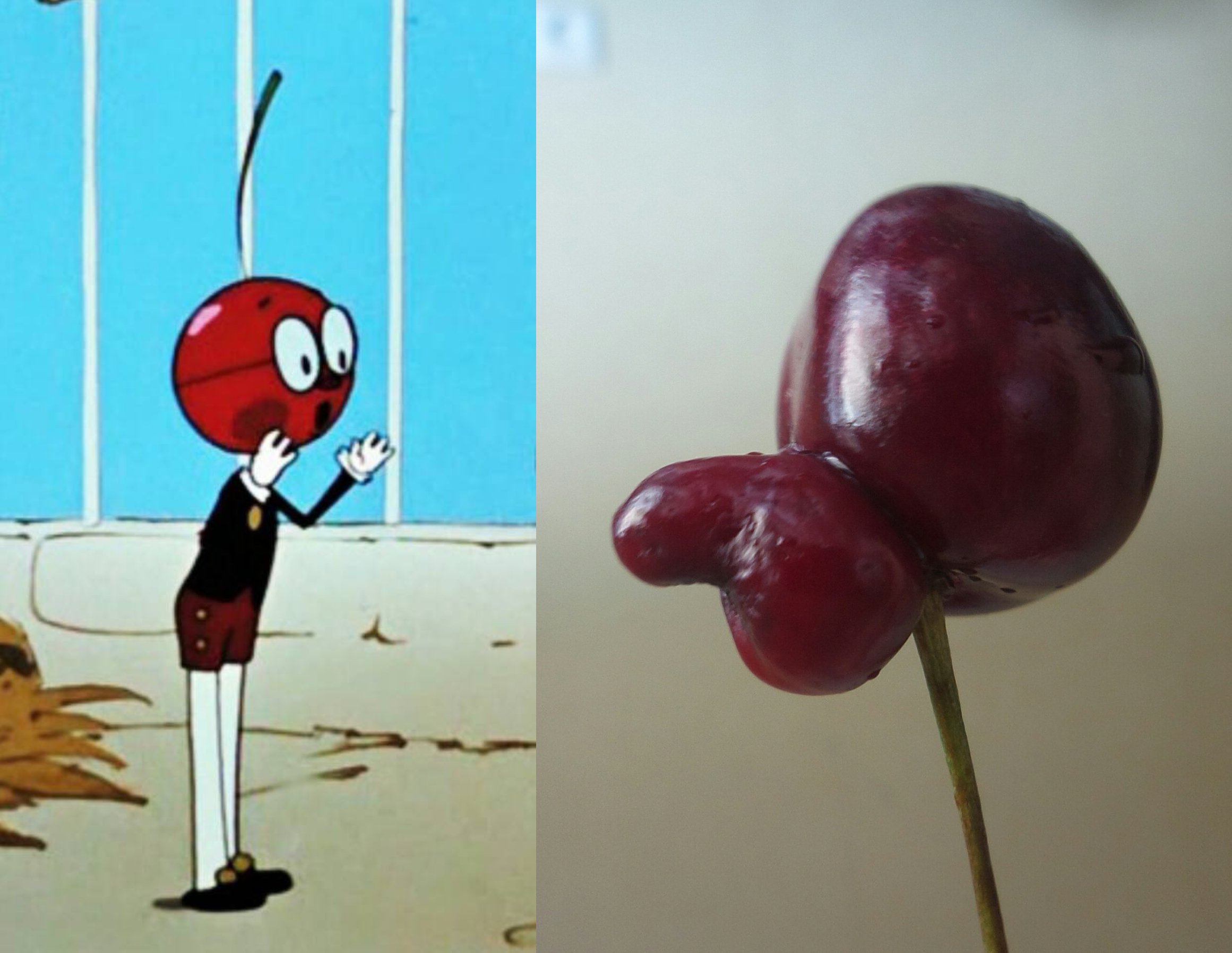 2321x1796, 326 Kb / вишня, хуй