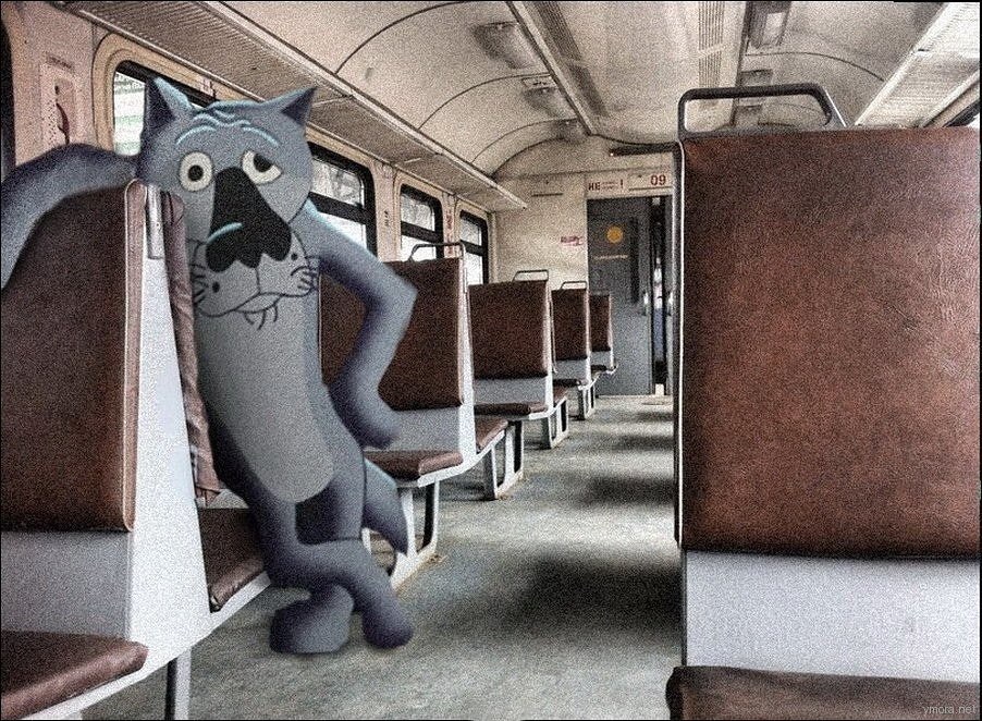 902x662, 214 Kb / волк, салон, электричка