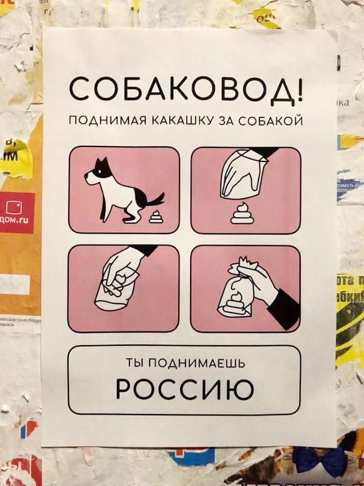 720x960, 147 Kb / собаковод, собака, какашка, россия