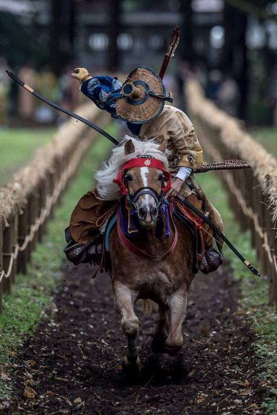 540x809, 66 Kb / лучник, лошадь, конь, лук, колчан, стрелы, всадник, шляпа