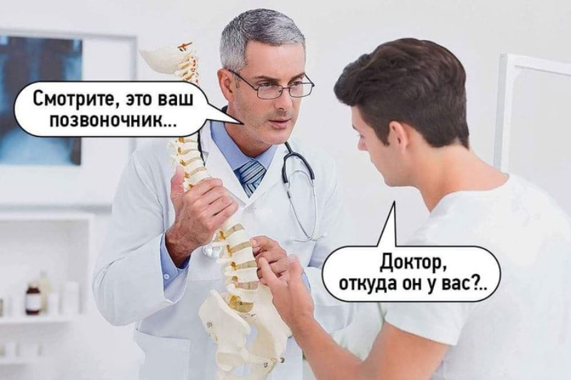 800x533, 59 Kb / Врач, позвоночник, доктор