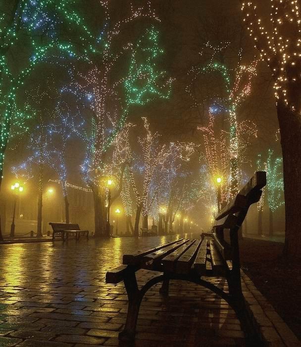 608x700, 134 Kb / ночь, скамейка, гирлянды