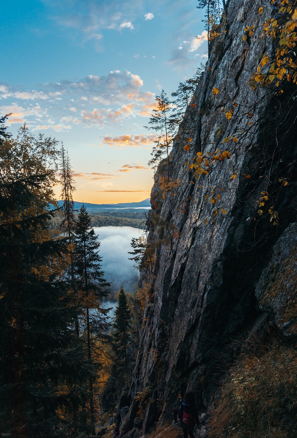 1017x1500, 581 Kb / BIOCITY2, деревья, скала, камни, туман, горы