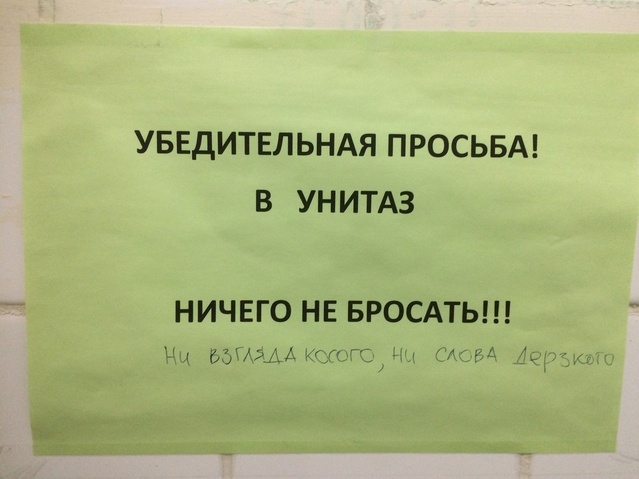 1280x960, 136 Kb / просьба, унитаз, взгляд, слово