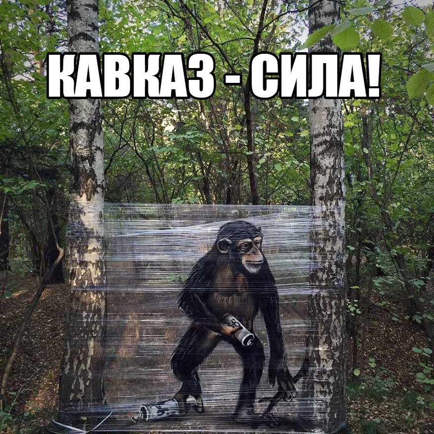 880x880, 259 Kb / кавказ, пленка, целофан, березы, балончик, граффити, обезьяна, шимпанзе, кавказ, сила