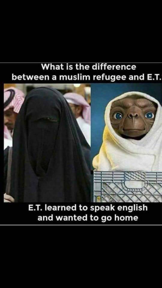 540x960, 34 Kb / инопланетянин, беженцы, мусульмане, разница