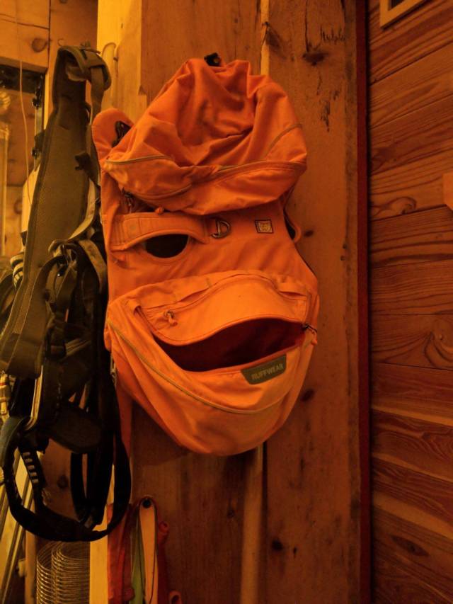 640x853, 58 Kb / рюкзак, рожа