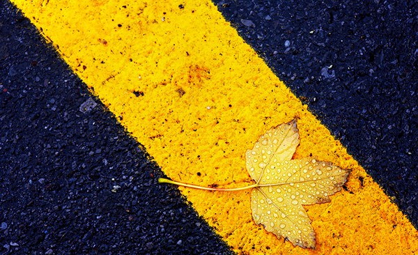 600x366, 101 Kb / дорога, полоса, лист