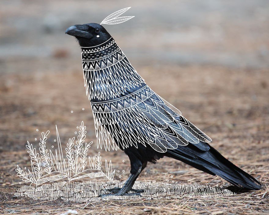 880x703, 155 Kb / ворон, индеец, фотошоп