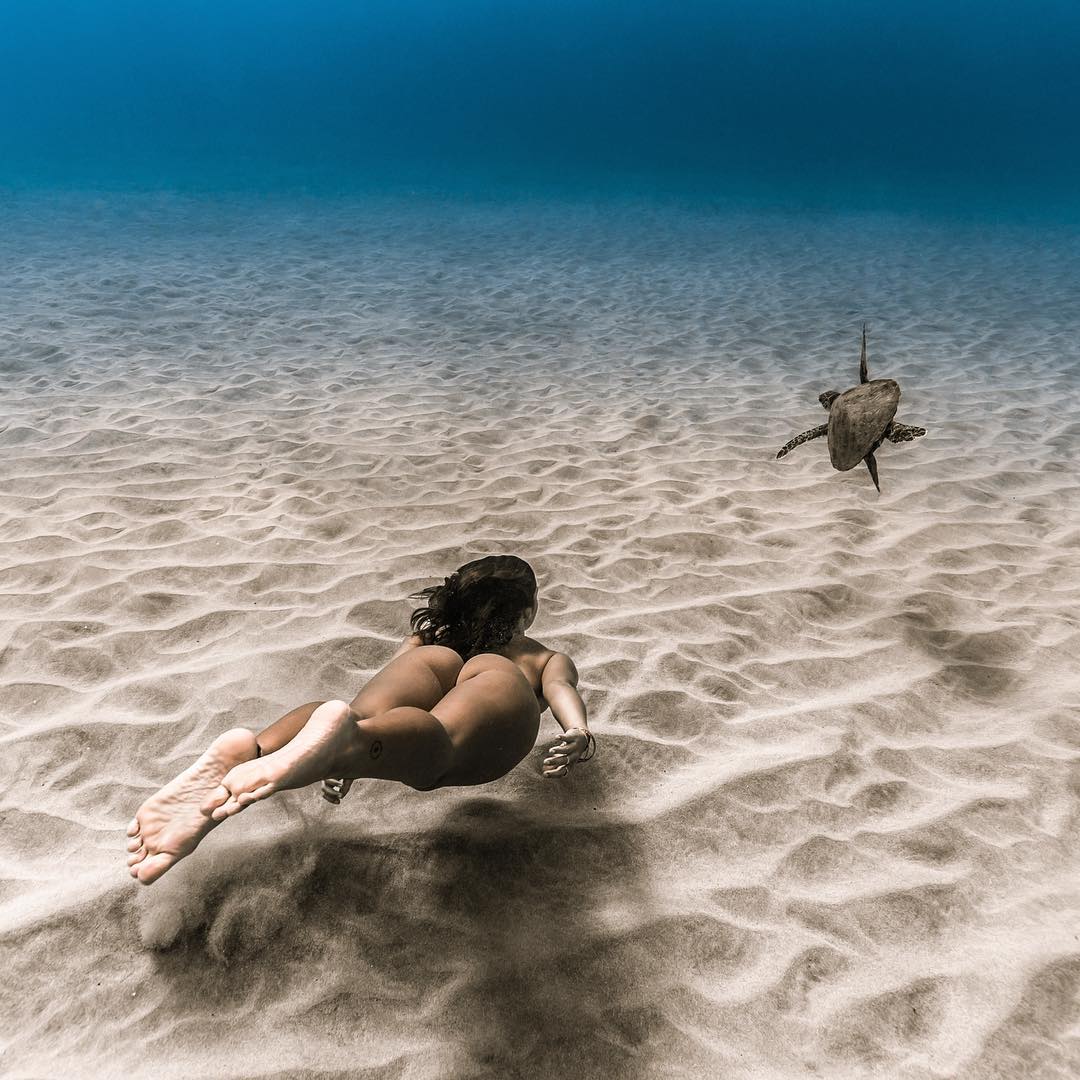 1080x1080, 144 Kb / черепаха, песок, под водой, пловчиха, дайвер, попа, брюнетка