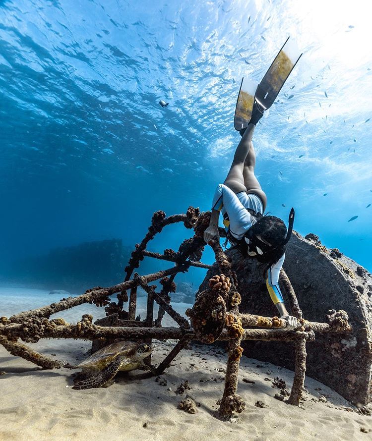 750x890, 147 Kb / ласты, дайвер, корабль, черепаха, попа, маска, трубка, под водой, буй