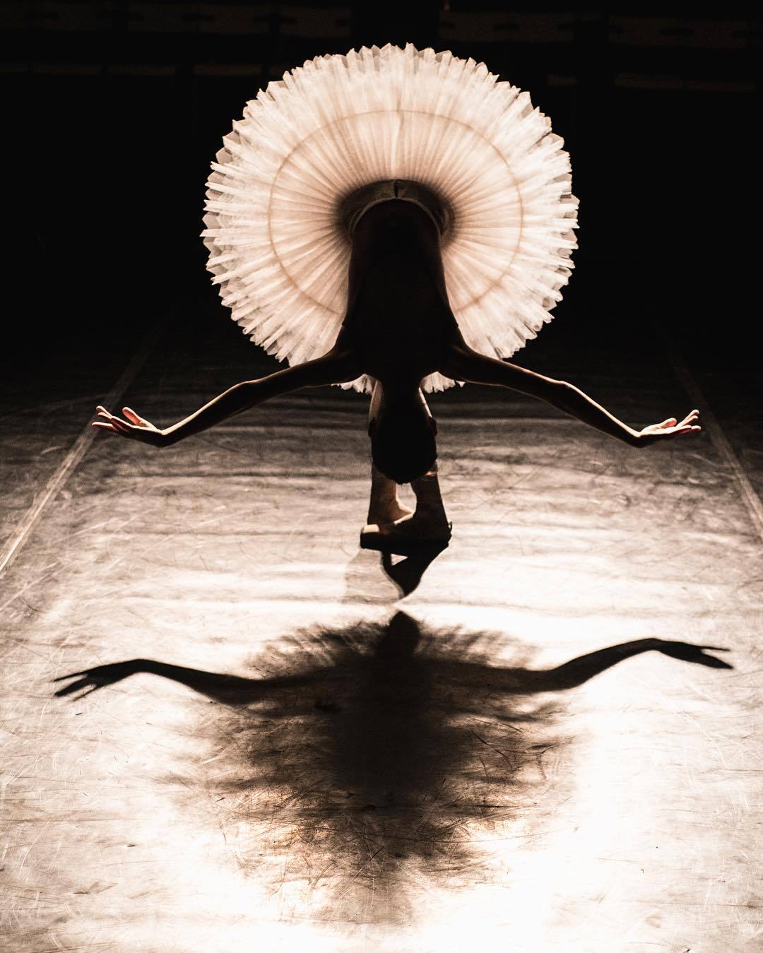 1080x1349, 139 Kb / балерина, пачка, поклон, тень