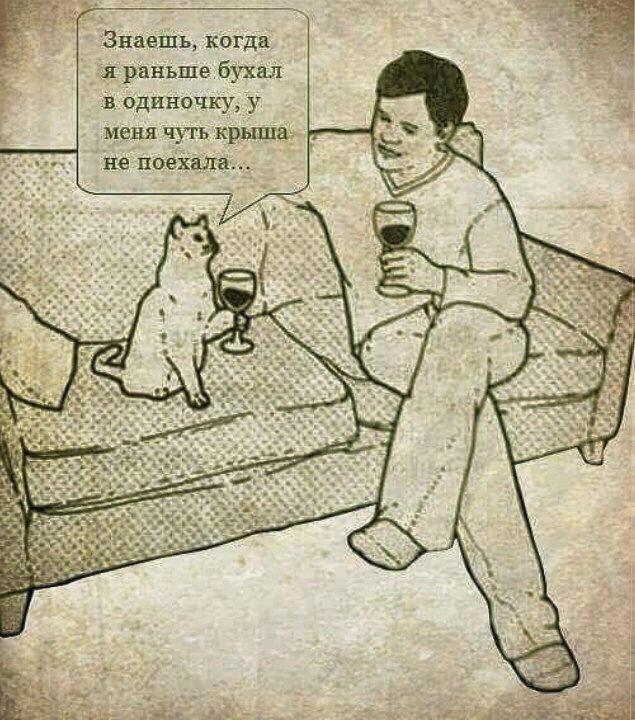 635x720, 137 Kb / кот, диван, вино, бокал, человек, крыша