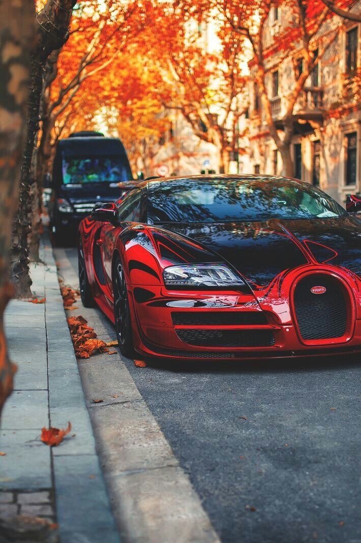 710x1066, 188 Kb / осень, листья, бугатти, вейрон, Bugatti, Veyron