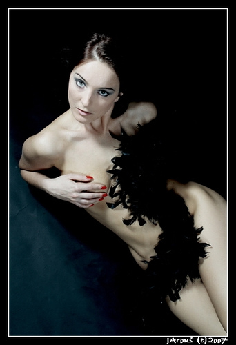 342x500, 47 Kb / перья