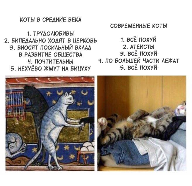 656x638, 66 Kb / кот, средневековье