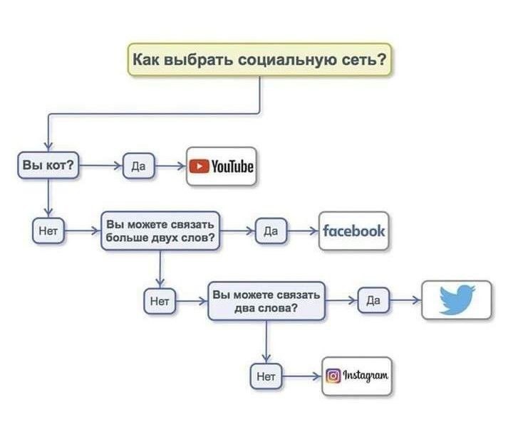 720x610, 36 Kb / соцсеть, кот, твиттер, выбор, схема