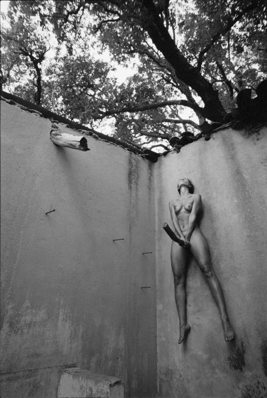 536x800, 105 Kb / палка, висит, стена, бассейн, деревья, ч/б