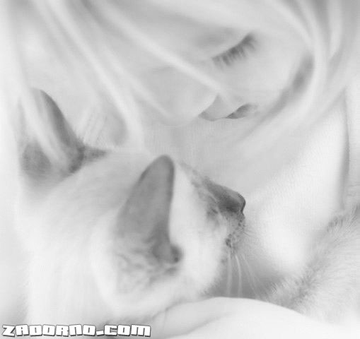 509x480, 21 Kb / кошка, девочка