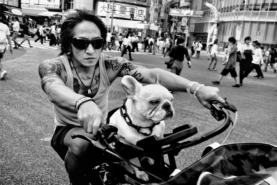 1150x767, 214 Kb / японец, бульдог, транспорт, ч/б, очки, тату, пешеходы