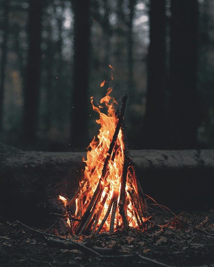 900x1125, 96 Kb / лес, костер, огонь, ночь