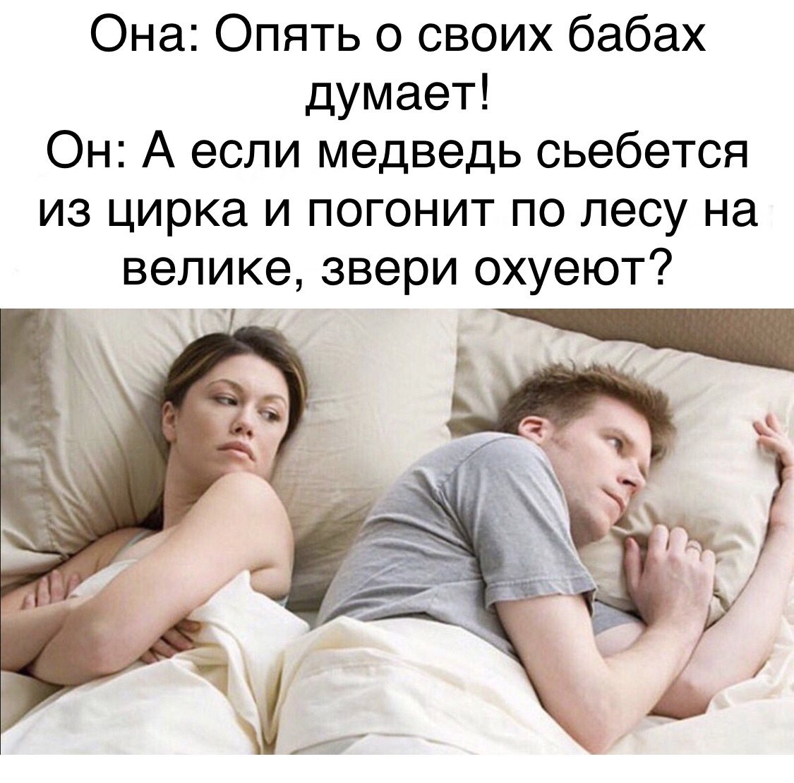 1125x1109, 177 Kb / бабы, медведь, велосипед, велик