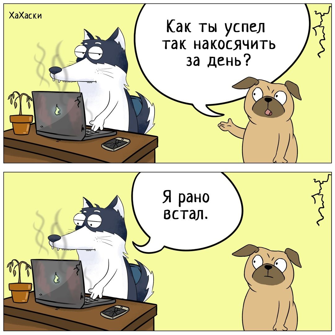 1080x1080, 131 Kb / Хахаски, косяк, ноутбук, рисунок, горшок
