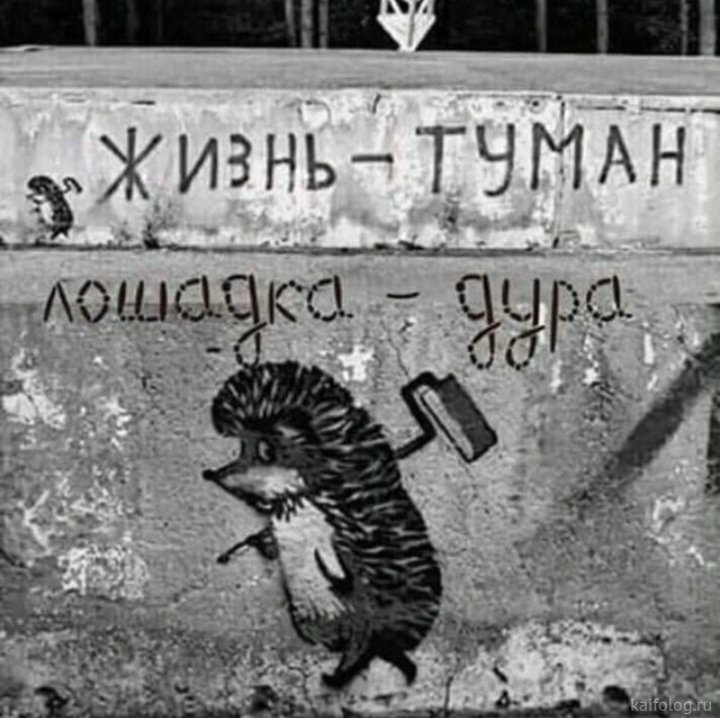 720x718, 88 Kb / ёжик, туман, лошадка, валик