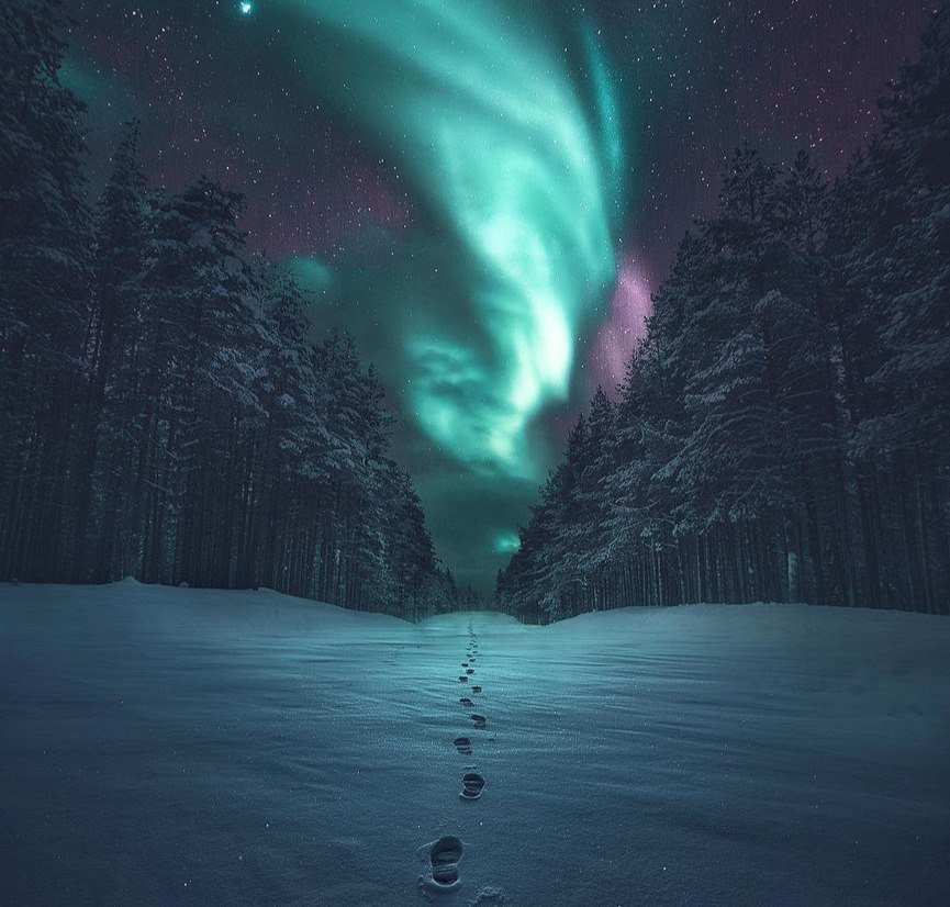865x826, 139 Kb / северное, сияние, следы, снег, лес, деревья, Финляндия
