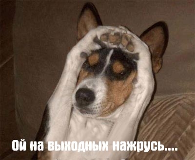 400x328, 58 Kb / собака, радость, пятница