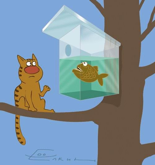 500x530, 22 Kb / кот, скворечник, пиранья