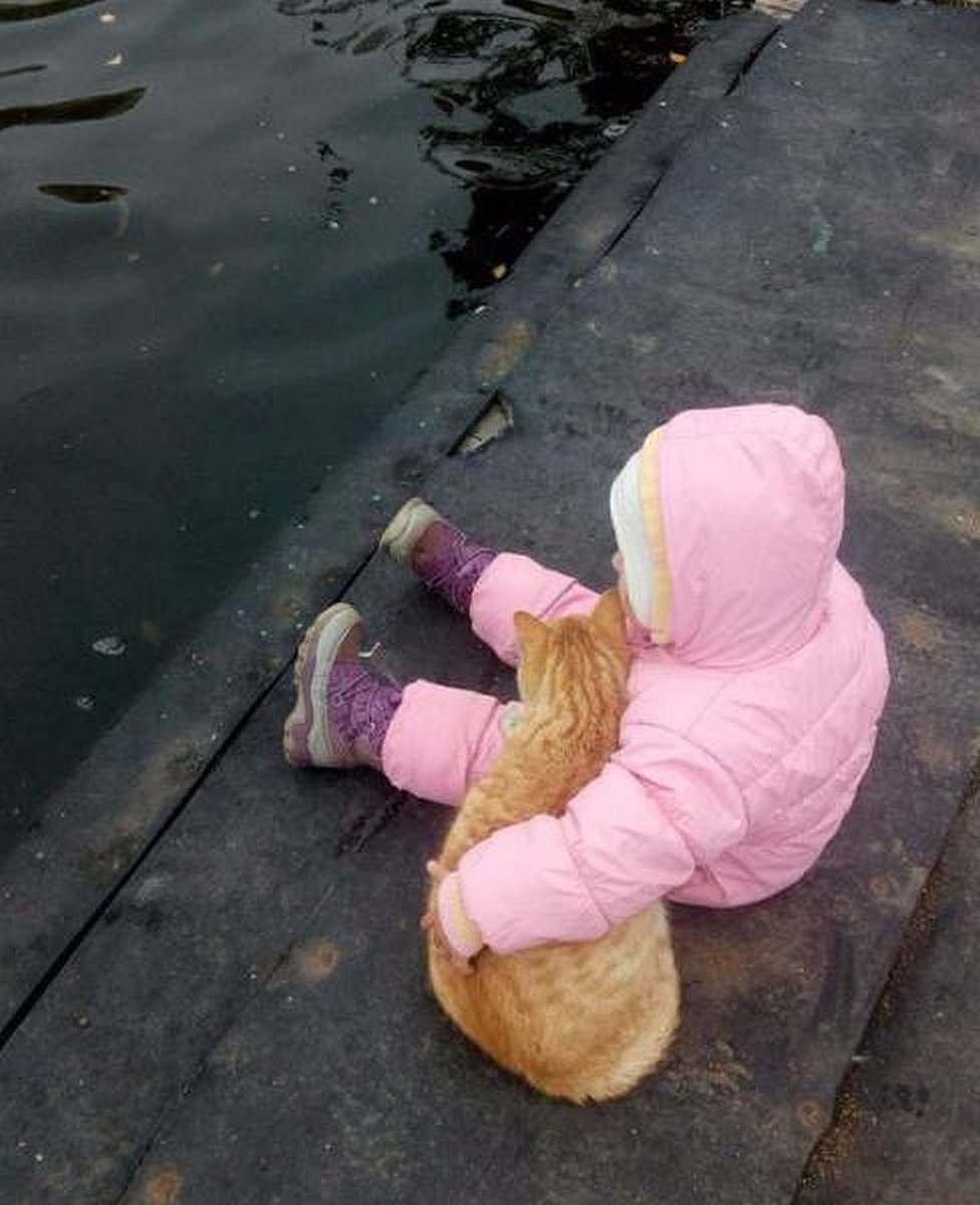 976x1200, 131 Kb / Ребёнок, девочка, кот, кошка, вода